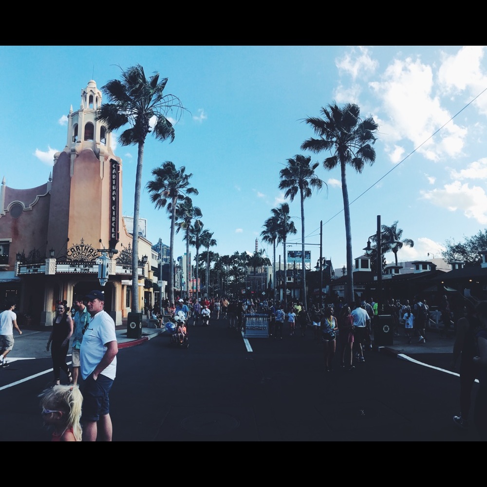 Meet your Posher, Sunnie